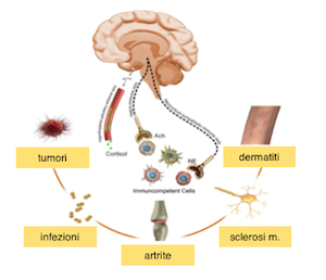 psicosomatica IT