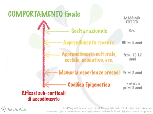 interferenze comportamento copy