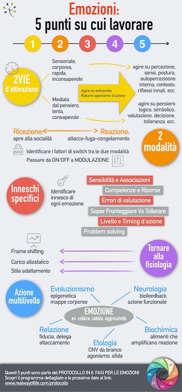 5 punti per lavorare sulle emozioni