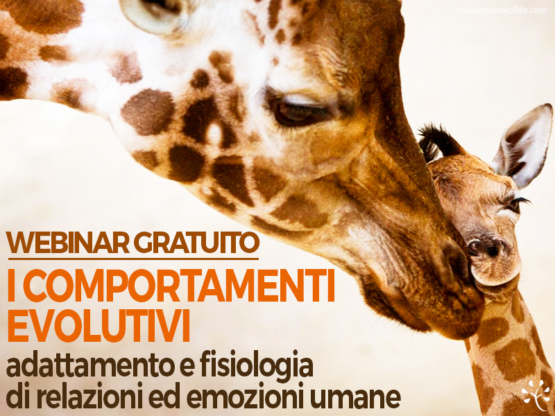 seminario comportamenti evolutivi psicologia