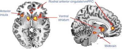 fmri_decision_making