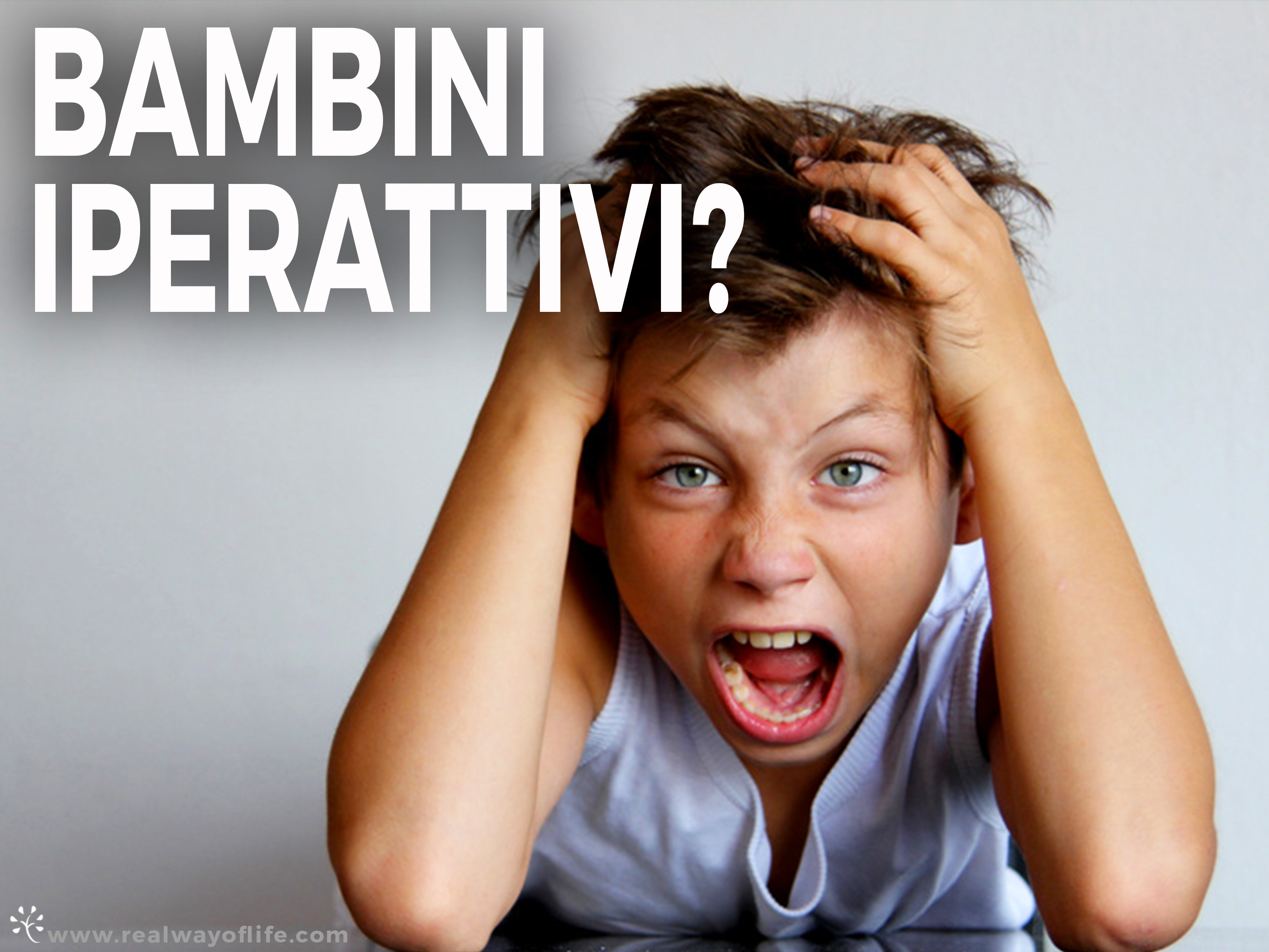 www.realwayoflife.com/masterbambini