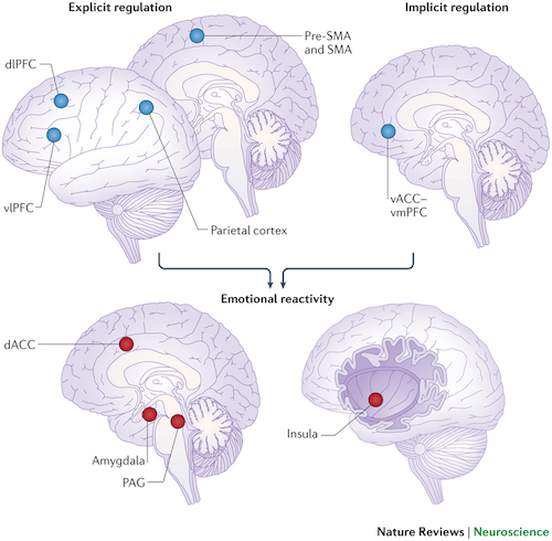 aree cervello emozioni tecniche