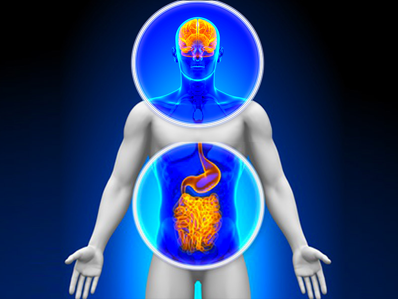 how microbiota influences mood and emotions