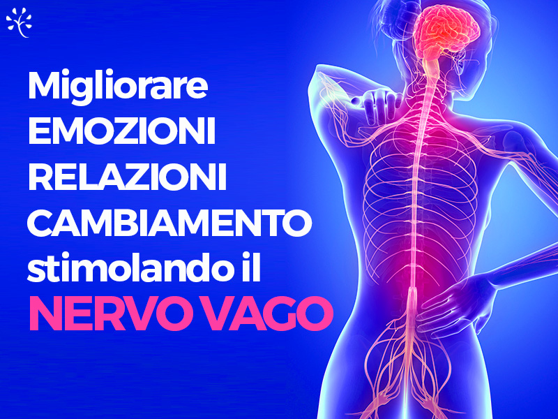 immagine-blog-aricolo-nervo-vago2