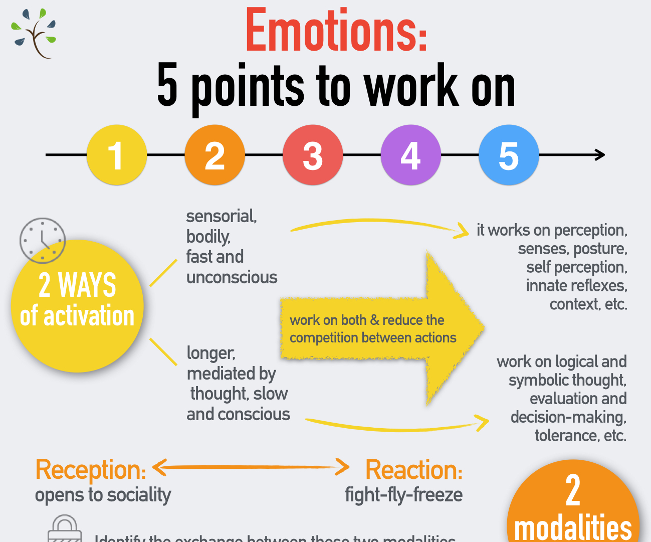 presentation of research feelings