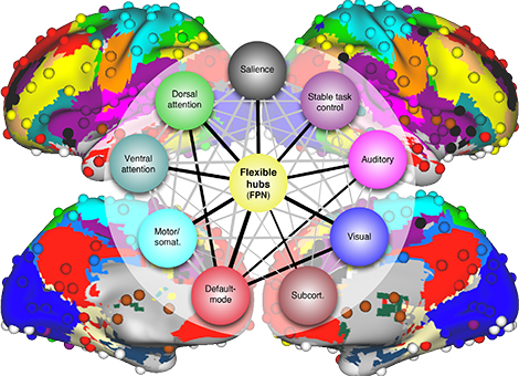 emozioni network