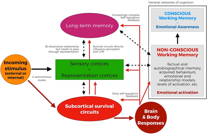 conscious and non-conscious emotional process