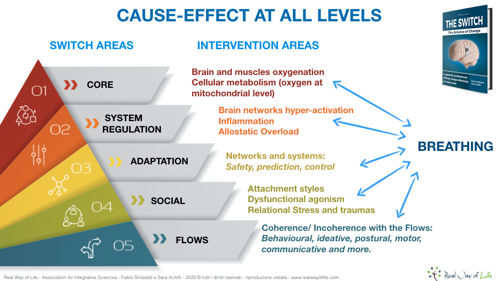 breathing - switches cause-effect